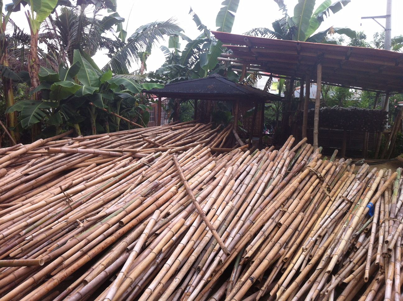Cabane en Bambou - Rêve de Bambou